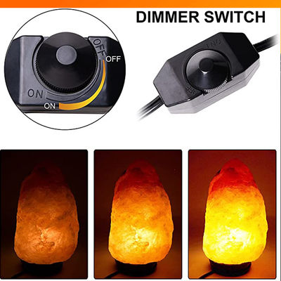 Lampe de remplacement avec commutateur en ligne Dimmer Us 2 Prong Ac Usa Cordon d'alimentation